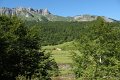 (100) Au plateau de Sanchèse